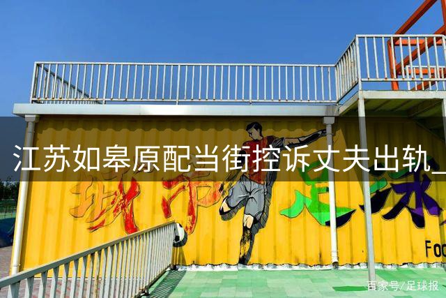 江苏如皋原配当街控诉丈夫出轨 社区女书记遭遇婚姻背叛